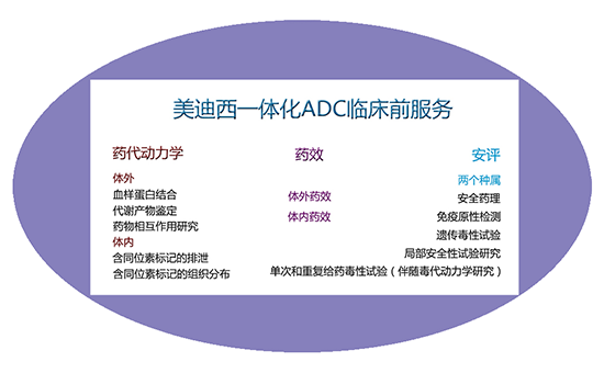K8官网一体化ADC临床前服务 K8官网一体化ADC临床前服务