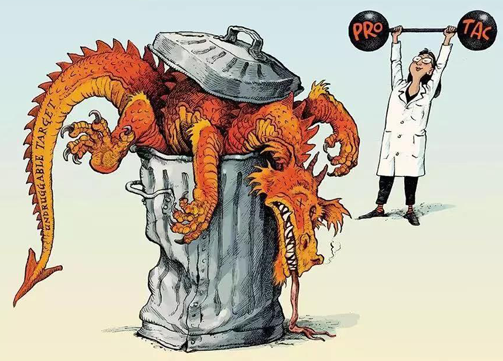 聚焦PROTAC：Make“Undruggable”TargetsDrugable