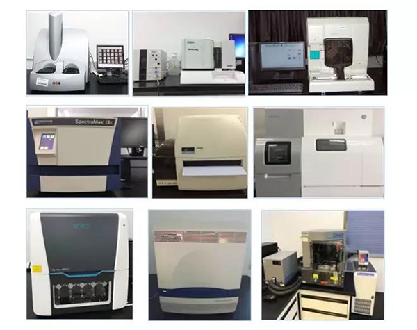 K8官网生物技术药物分析部门拥有SpectraMaxM4/M5/i3x, MSD, Luminex, Biacore 8K, Envision, Gyrolab，ABI7500 qPCR等全方位多功能的技术平台，利用LIMS系统实施全面的实验室信息化管理，给予全面符合FDA/CFDA/OECD GLP规范要求的生物技术药物分析服务。