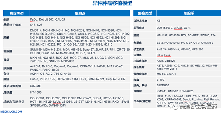 K8官网异种肿瘤移植模型清单