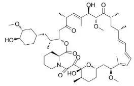 雷帕霉素新制剂用于罕见病，获4500万美元融资
