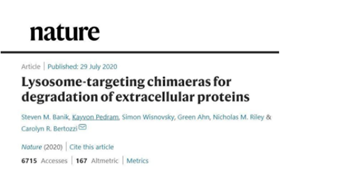 一种不同的蛋白降解技术——溶酶体靶向嵌合体（lysosome-targeting chimaeras, LYTACs）