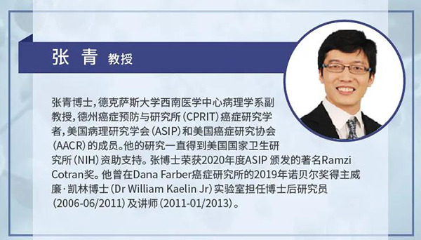 直播预告|诺奖实验室讲师张青教授做客K8官网云讲堂，揭示乳腺癌和肾癌治疗新靶点