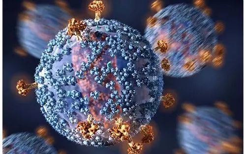 取得性免疫缺陷综合征（AIDS）是由人类免疫缺陷病毒（HIV)所引起的传染病