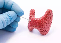 【Science速递】揭开甲状腺的神秘面纱，开启代谢药物新征程