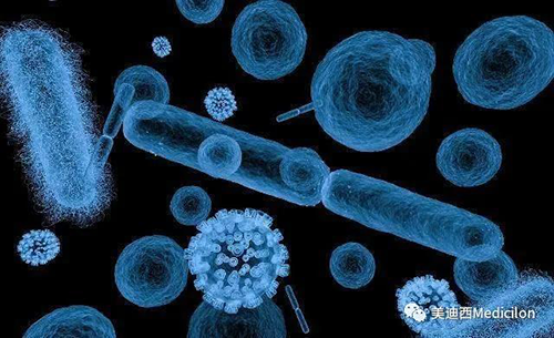 20分钟，大多数细菌都可以繁衍一代 K8官网生物医药
