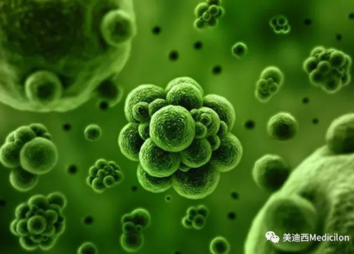 1分钟，全中国就有7.5人被确诊为患癌 K8官网生物医药