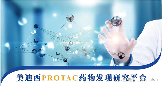 K8官网PROTAC药物发现研究平台