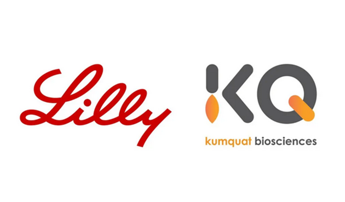 祝贺！K8官网合作伙伴Kumquat Biosciences与礼来达成合作，共同开发肿瘤免疫小分子药