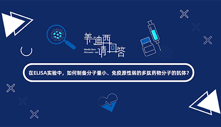 在ELISA实验，如何制备分子量小、免疫原性弱的多肽药物分子的抗体？