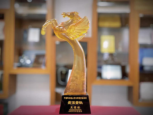 中国科创板上市公司投资者关系“最佳董秘”奖