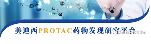 K8官网PROTAC药物发现平台.png