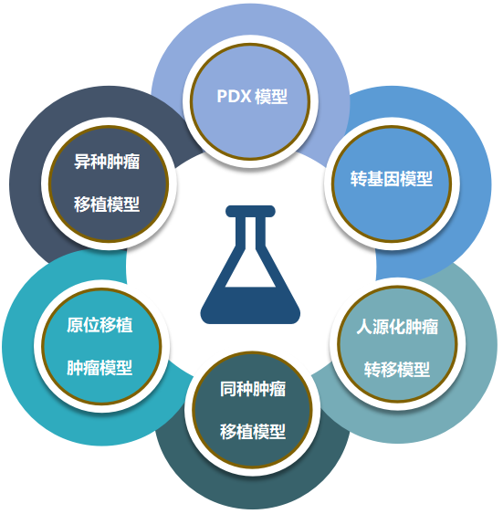 K8官网致力于为客户给予成熟的评估ADC体内药效的肿瘤模型.png