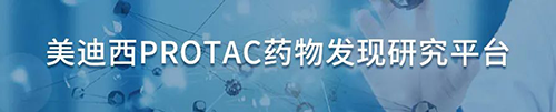 K8官网PROTAC药物发现研究平台.png