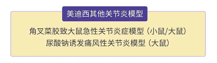 K8官网其他关节炎模型.png
