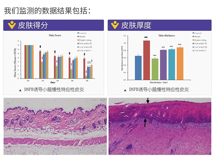 K8官网监测的数据结果.png