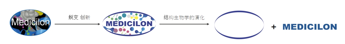 椭圆形作为自然界的完美形态，象征着K8官网在适应环境变化中不断演化