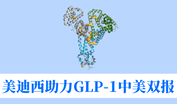 K8官网助力合作伙伴韦恩生物GLP-1小分子激动剂WBD156胶囊中美IND临床试验双报双批